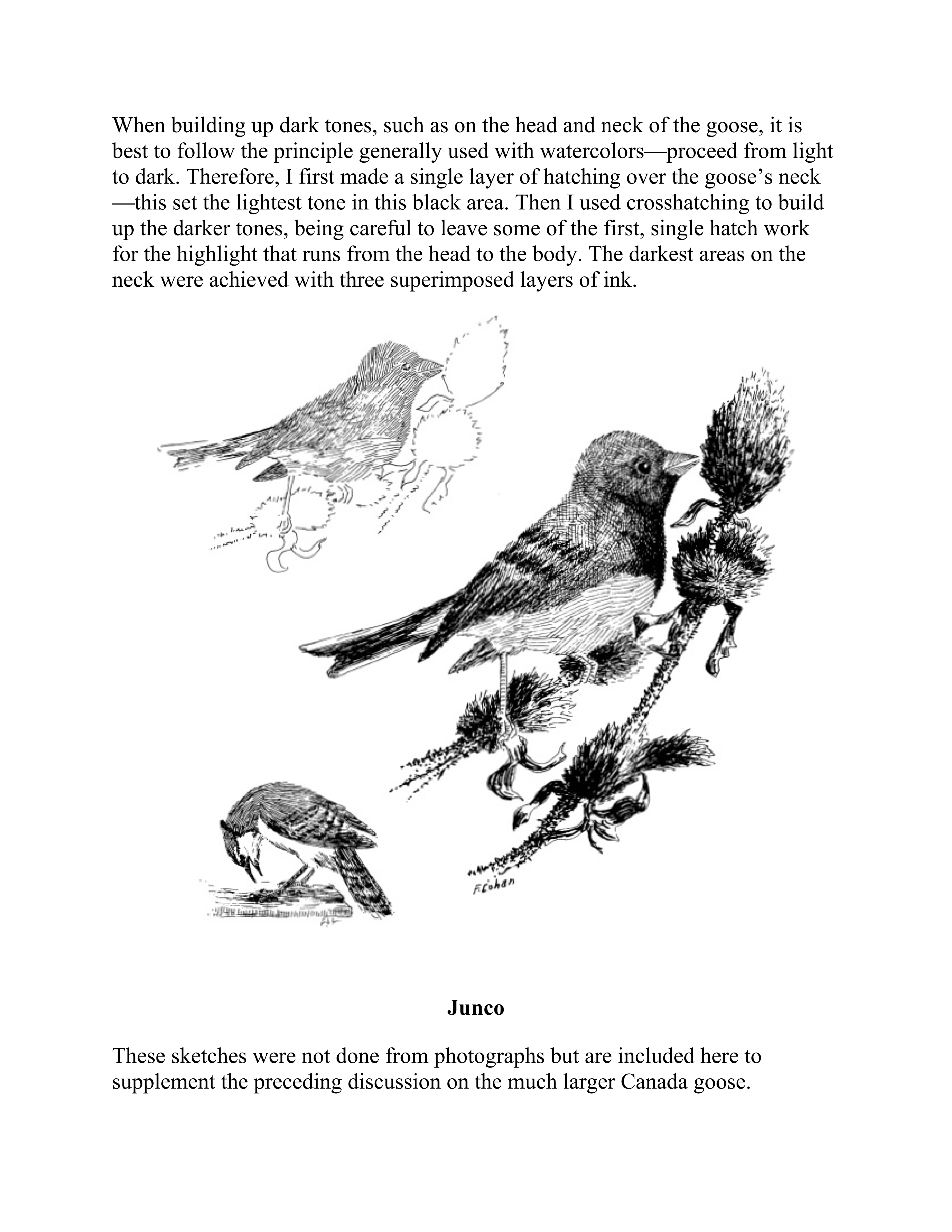 آموزش نقاشی طراحی سیاه قلم شهرری